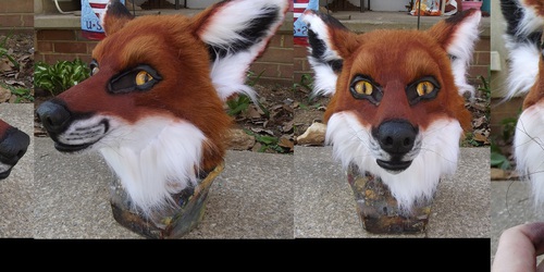 Realistic fox head