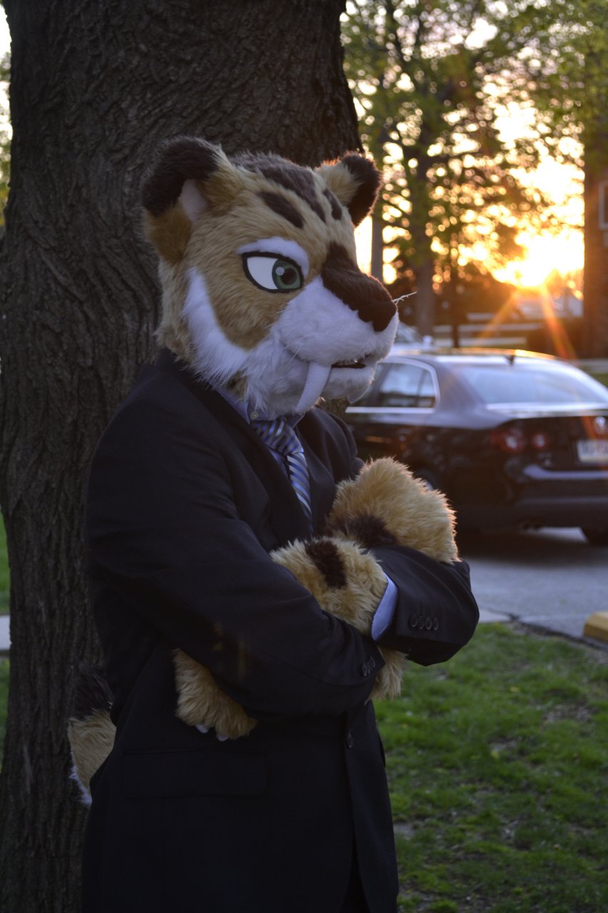Business Professional Kitty 3
