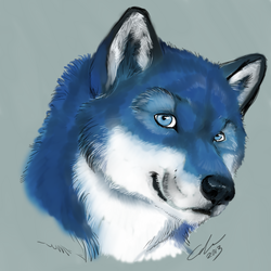 blue-paw bust image