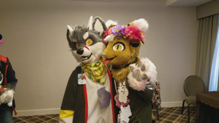 ANE 2018: Mosfet and Jazzy
