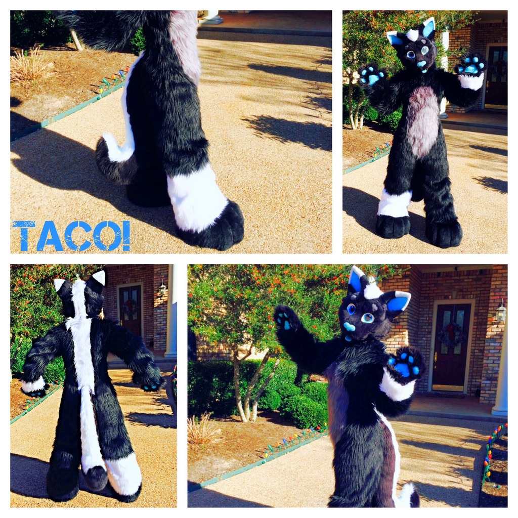 THE TACO SUIT IS FINALLY DONE!!!