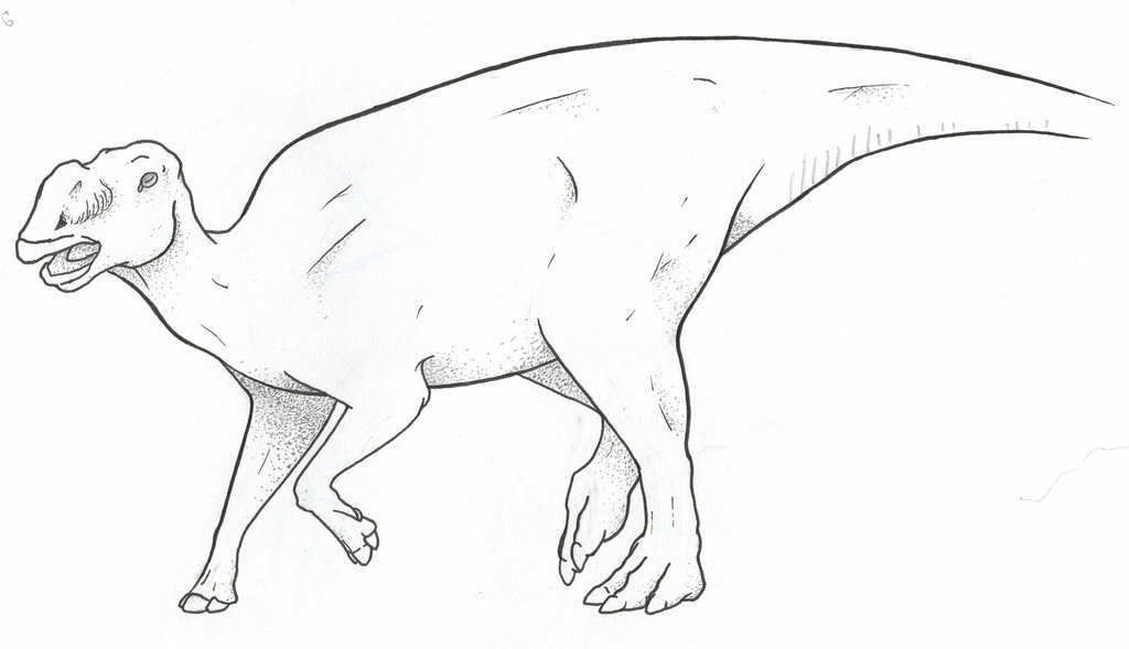 Gryposaurus Monumentensis