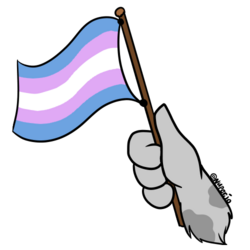 Dexin Pride Flag - Transgender (ych)