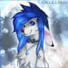 avatar of GelCloud