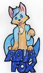 Aqua Fox FWA 2016 Badge
