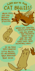 Why not to rub cat bellies (animated comic thing)