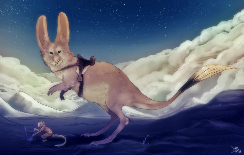 Most recent image: Great Riding Jerboa