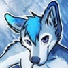 avatar of hachi the husky