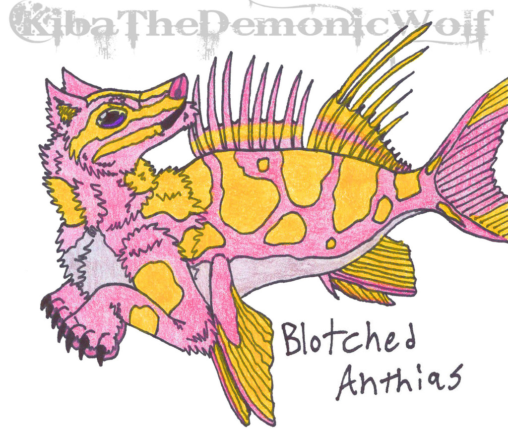 Whimsical Wolves - Fish Wolf - Blotched Anthias