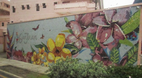 Flower Mural in San Juan