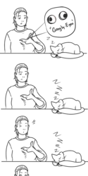 Cat Owners