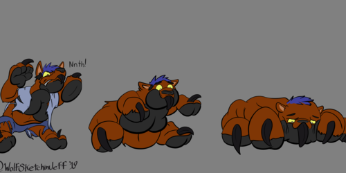 twitter poll paw transformation final 4-6