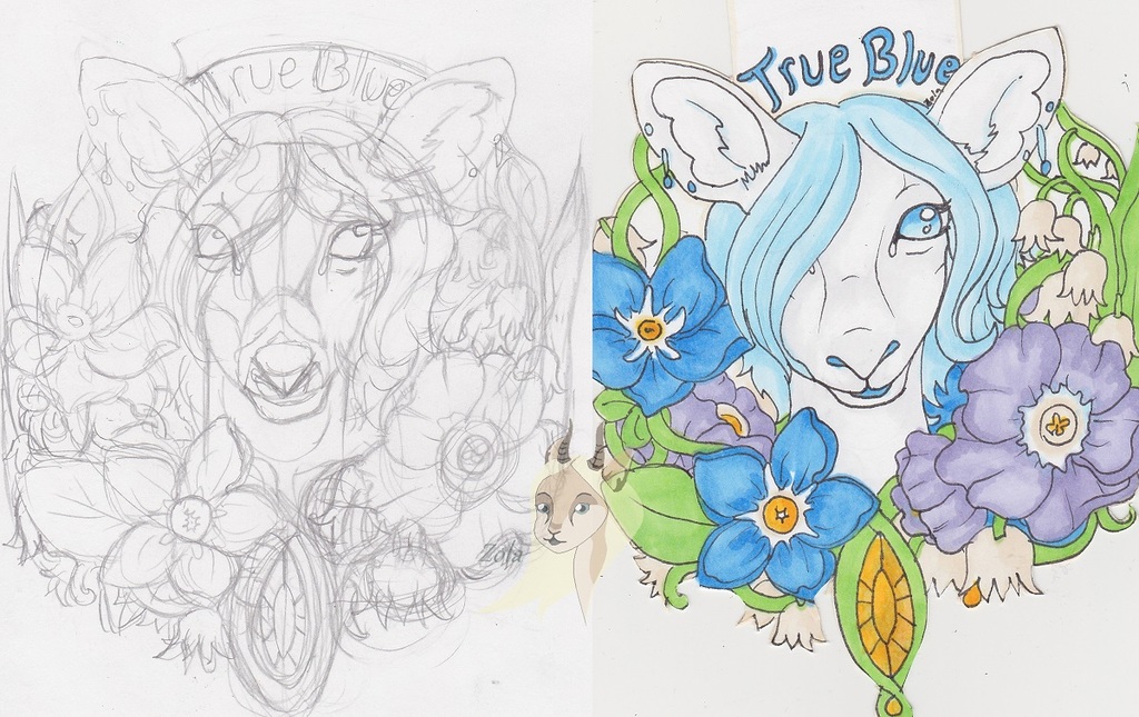 Before and after trueblue badge