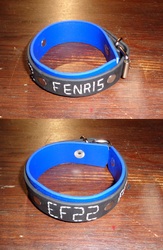 9 th EF22 special Bracelet