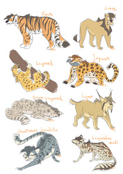Allesia in different Big Cat Forms