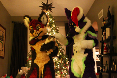 Happy Holidays from TheFurCollective