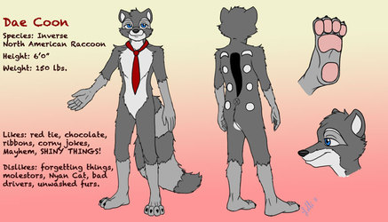 Dae Coon Ref Sheet 2011