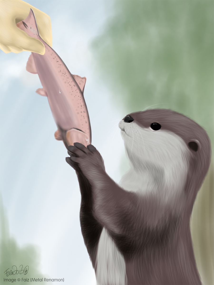 .:Feed the Otter:.