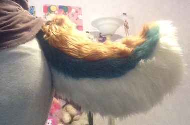 My tail