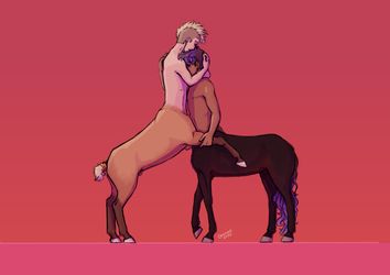 centaur cuddles
