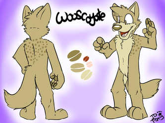 Introducing Wooscoyote!