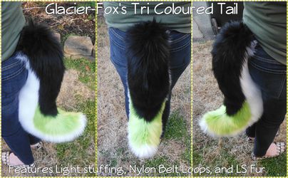 [C] Glacier-Fox's TriColoured Tail Commission