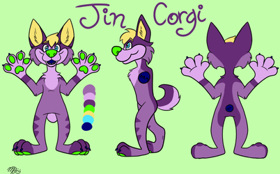 Ref Sheet For Jin Corgi!!
