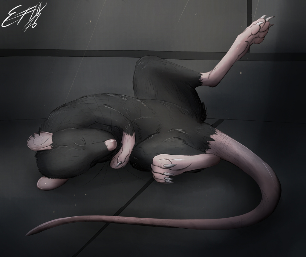 Sleepy Rat