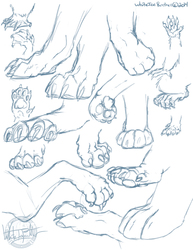 Some Paw Practice