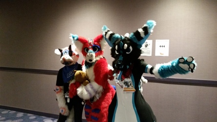 Furries Galore! (Furry Migration 2015)