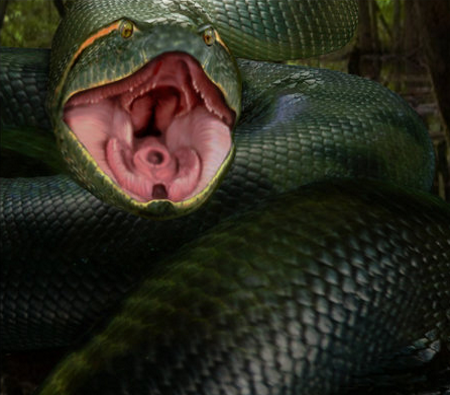Vore snake 