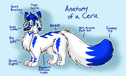 Anatomy of a Ceru