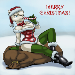 Christmas: Sexy Santa