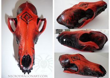 Painted Fox Skull
