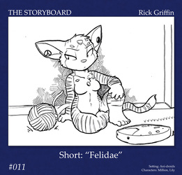 The Storyboard - 011