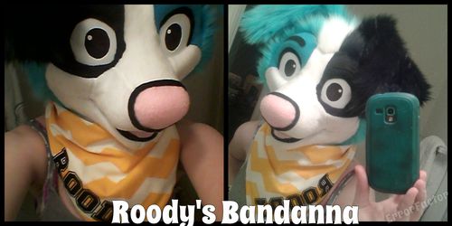 [C] Roody's Bandanna