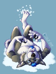 [NOT MY ART] Being a snow dog