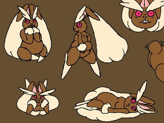 Just Lopunny THINGS