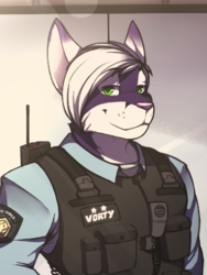 Vorty: Police Officer