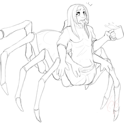 Shy, Coffee Drinking Spider Friend