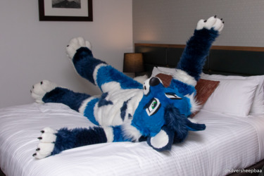 FurJAM 2019: Flopping Into Bed