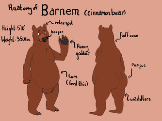 Basic ref sheet (Bear)