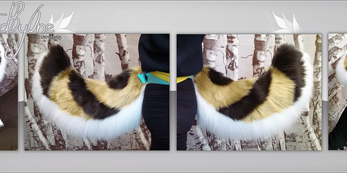 Tail Commission: staci
