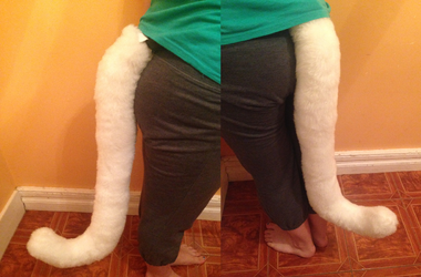 White Cat Tail - For Sale