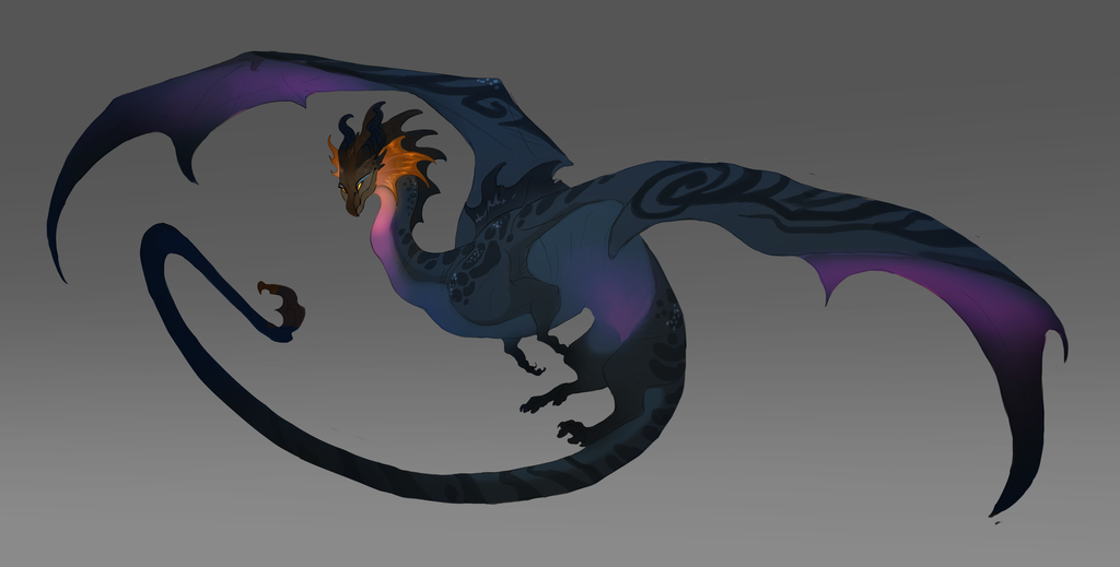 Most recent image: dusky dragon design 
