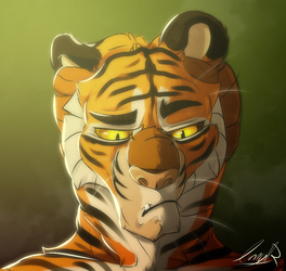 Tiger Boy