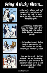 Being A Husky Means....