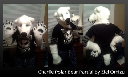 Charlie Polar Bear Partial