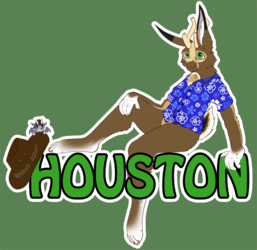 Badge - Houston