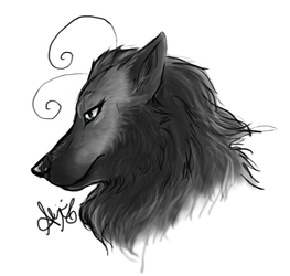 Fae Wolf Request Sketch